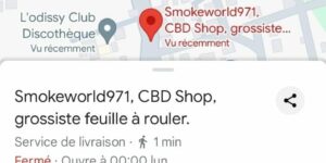 Page Google maps pour PRO
