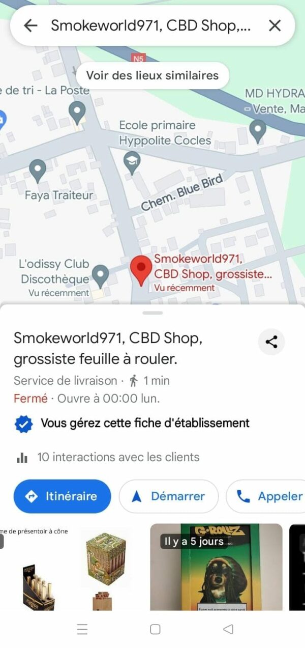 Page Google maps pour PRO