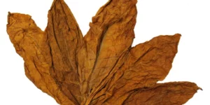 hai leaf 150g