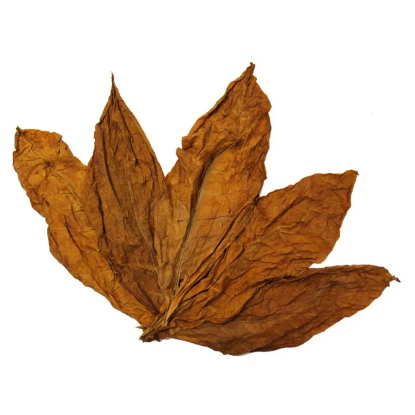 hai leaf 150g