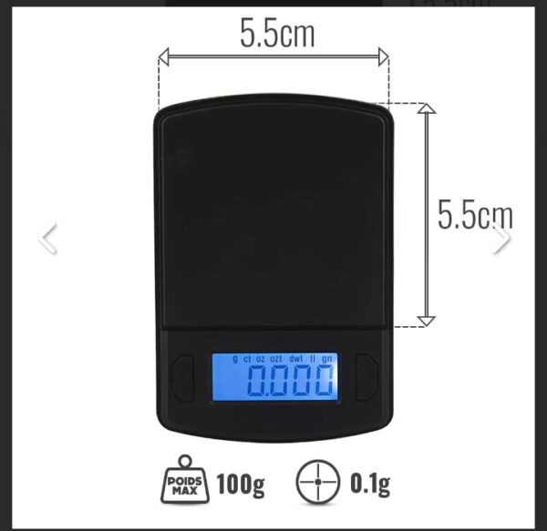 Balance de précision 600G/0.1G
